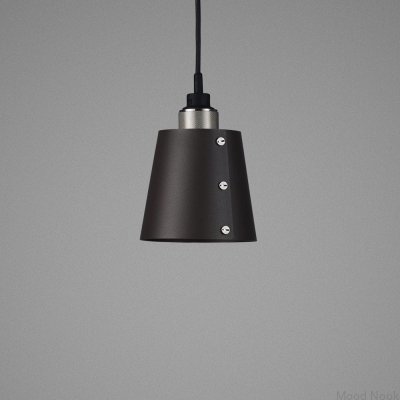 Taklampa 1.0 Hooked S 2 m Stål Grafit med Silver