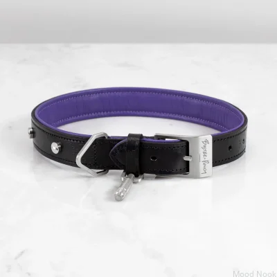 Hundhalsband XL läder och stål