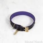 BusterPunch_Dog_Collar_Brass_Medium-scaled.webp