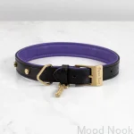 BusterPunch_Dog_Collar_Brass_Large_Front-scaled.webp