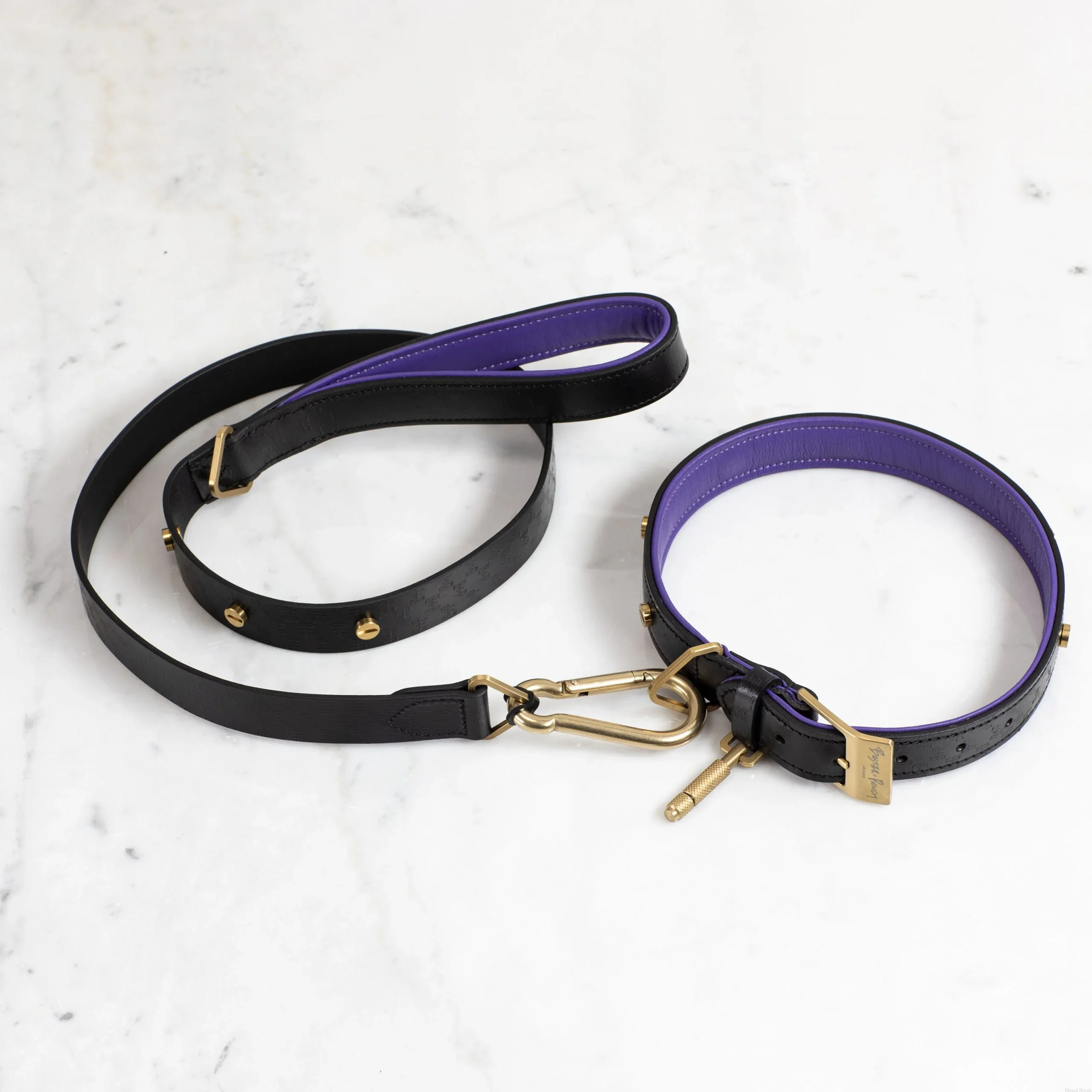 BusterPunch_Dog_Collar_Lead_Brass_Medium-scaled.webp