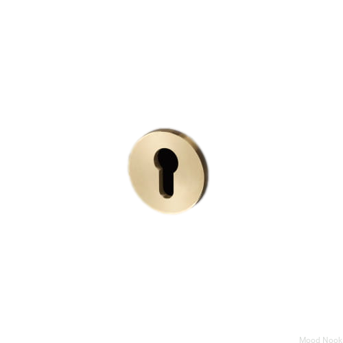 buster_punch-euro-escutcheon-plate-brass_2_2.jpg