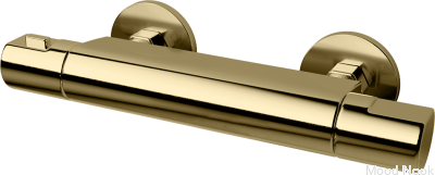 Grifo de ducha ARM168-150 Miel Oro Latón