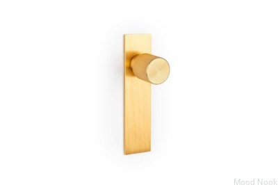 Möbelknopp med Arpa Plate Aluminium Guld Borstad bricka