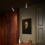 2d52f55ac770a7566b43b53985228dcf