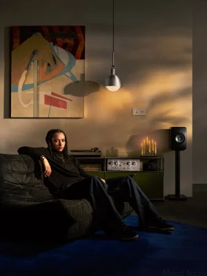 Dekorativa skruvar för Detail Linear Silver-ramen