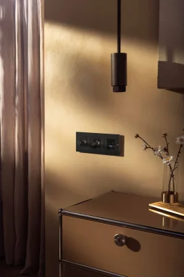 Dekorativa skruvar för ramen Detalj Linjär Bränd brons